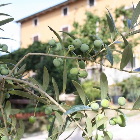 B&B Al Frantoio Чиуси Екстериор снимка